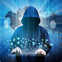 Zur Seite: Cyber-Kriminalität und digitale Strafverfolgung