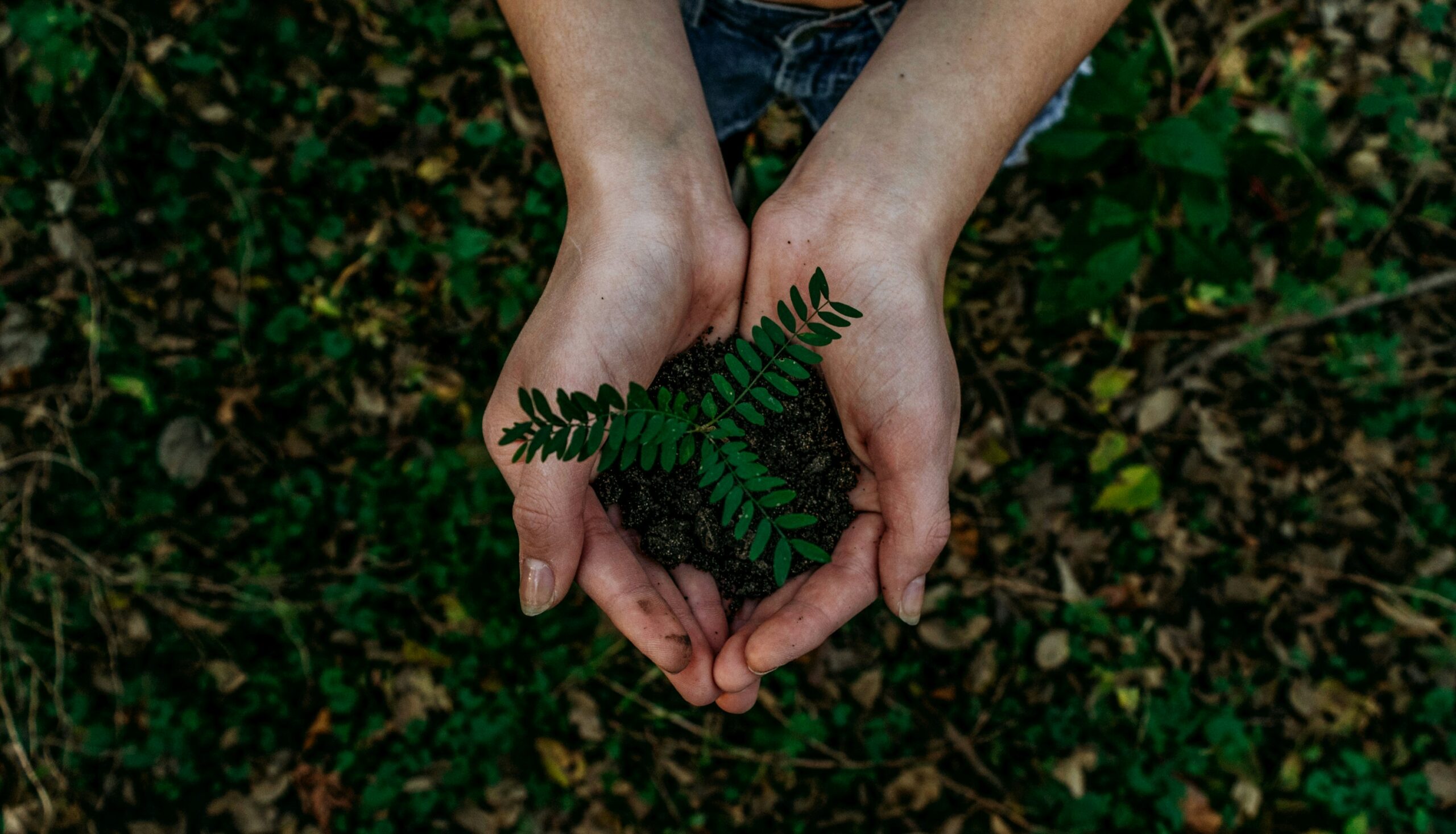 (FA)U for Sustainability: Was ist genug? – Suffizienz als zentrale Nachhaltigkeitsstrategie